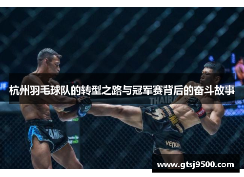 杭州羽毛球队的转型之路与冠军赛背后的奋斗故事