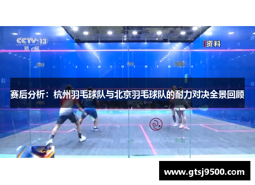 赛后分析：杭州羽毛球队与北京羽毛球队的耐力对决全景回顾