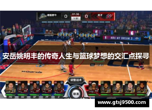 安岳姚明丰的传奇人生与篮球梦想的交汇点探寻