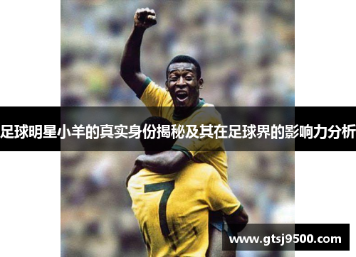足球明星小羊的真实身份揭秘及其在足球界的影响力分析