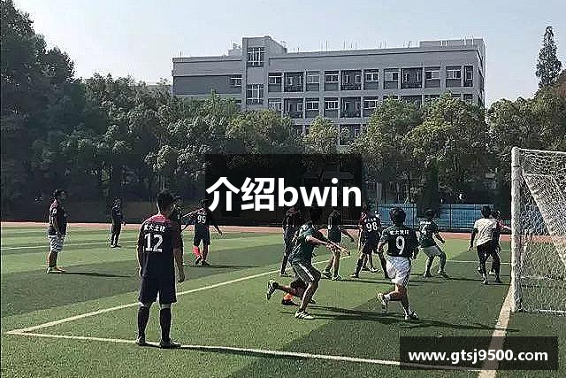 介绍bwin